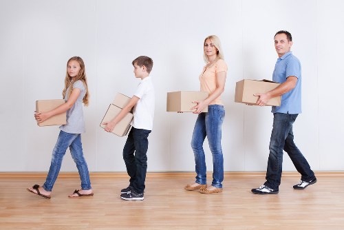 Professional man and van team carrying items safely during a move