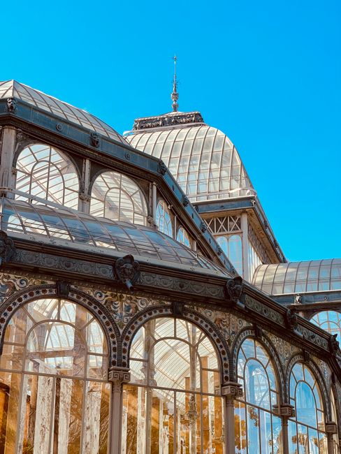 Close-up view of a historic glasshouse with ornate metal framework, featuring large arched windows and intricate decorative details. The structure includes a domed roof and a smaller adjoining dome with a spire on top, all composed of glass panels supported by metal framing. The interior of the conservatory reflects sunlight through the glass, highlighting the metallic embellishments and casting shadows on the glass panes. This building is situated outdoors against a bright blue sky, with visible reflections of trees in the glass panels. As part of a house removal or relocation process, Crystal Palace Man and Van might be involved in transporting or dismantling such ornate glass structures, although the image depicts the conservatory itself, emphasizing the importance of careful handling during moving or packing. The setting suggests a historic or botanical environment, and the detailed architecture underscores the delicate nature of glass and metalwork involved in such structures.